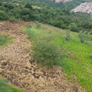 LOTE 009 - Área de 57.612,45m² em Sapucaia do Sul/RS