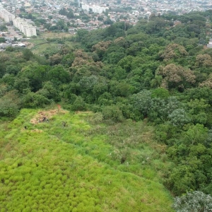 LOTE 009 - Área de 57.612,45m² em Sapucaia do Sul/RS