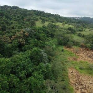 LOTE 009 - Área de 57.612,45m² em Sapucaia do Sul/RS