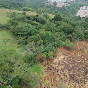 LOTE 009 - Área de 57.612,45m² em Sapucaia do Sul/RS