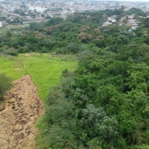 LOTE 009 - Área de 57.612,45m² em Sapucaia do Sul/RS