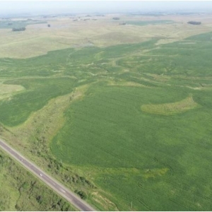 LOTE 001 - 171,5623 HECTARES DE CAMPO, MATR  18.044 CRI ROSÁRIO DO SUL