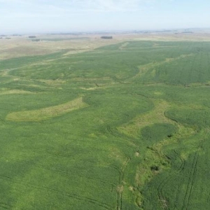 LOTE 001 - 171,5623 HECTARES DE CAMPO, MATR  18.044 CRI ROSÁRIO DO SUL