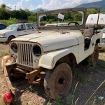 LOTE 028 - Ford/ Rural Willys, Ano/Modelo 1964/1964, placa YA3439. Avaliado em R$ 2.200,00.