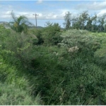 LOTE 004 - 2 Frações de terras com área total de 0,9908 hectares cfe Matr. 5.169 e 5.171 CRI Agudo