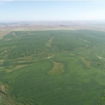 LOTE 001 - 171,5623 HECTARES DE CAMPO, MATR  18.044 CRI ROSÁRIO DO SUL