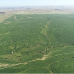 LOTE 001 - 171,5623 HECTARES DE CAMPO, MATR  18.044 CRI ROSÁRIO DO SUL