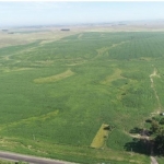 LOTE 001 - 171,5623 HECTARES DE CAMPO, MATR  18.044 CRI ROSÁRIO DO SUL