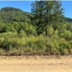 LOTE 004 - 1.000M² DE TERRAS CULTIVADAS.